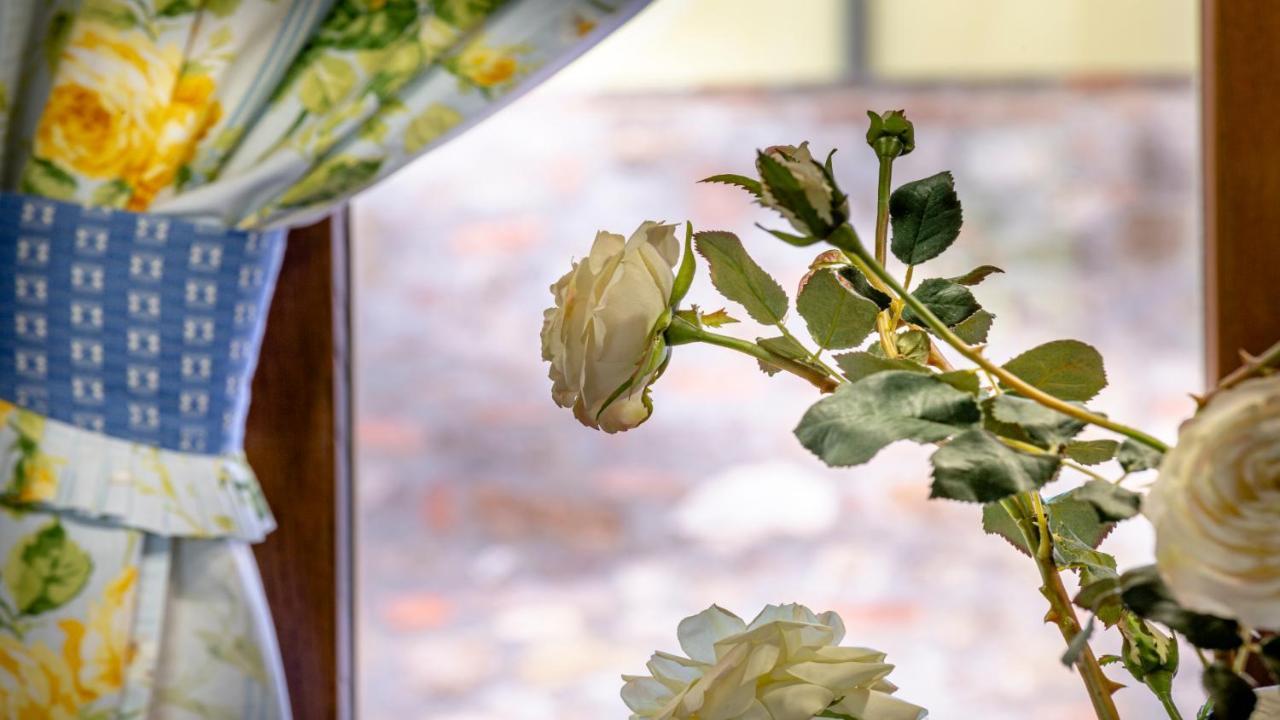 Il Cottage Di Patrizia لوكا المظهر الخارجي الصورة